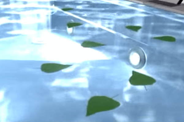 Smart pool cleaning system leaves the pool clean without manual cleaning Compass Pools Australia Smart pool cleaning system 2 1